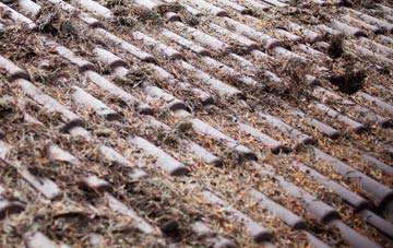 Fitzwilliam roof cleaning companies